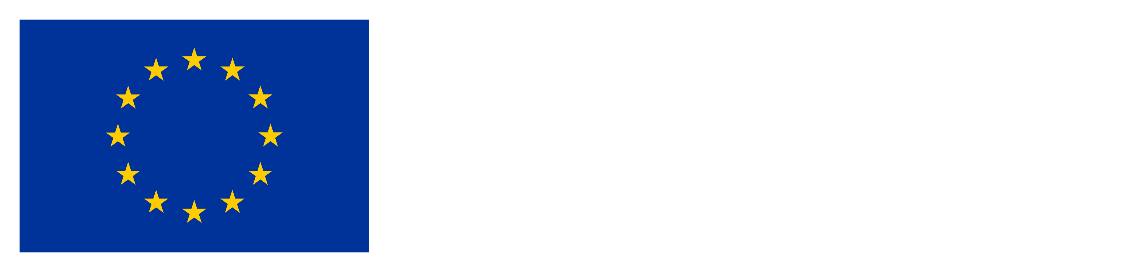 Co-funded by the European Union
